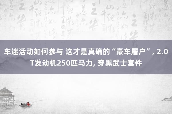 车迷活动如何参与 这才是真确的“豪车屠户”, 2.0T发动机250匹马力, 穿黑武士套件