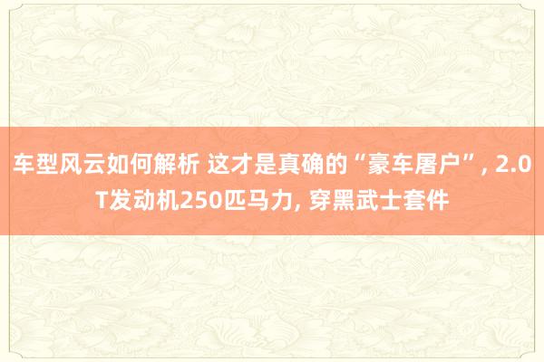 车型风云如何解析 这才是真确的“豪车屠户”, 2.0T发动机250匹马力, 穿黑武士套件