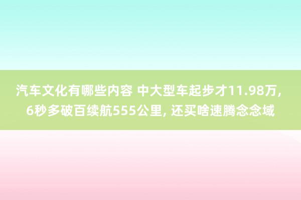 汽车文化有哪些内容 中大型车起步才11.98万, 6秒多破百续航555公里, 还买啥速腾念念域