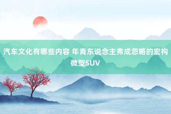 汽车文化有哪些内容 年青东说念主弗成忽略的宏构微型SUV