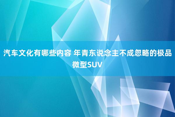 汽车文化有哪些内容 年青东说念主不成忽略的极品微型SUV