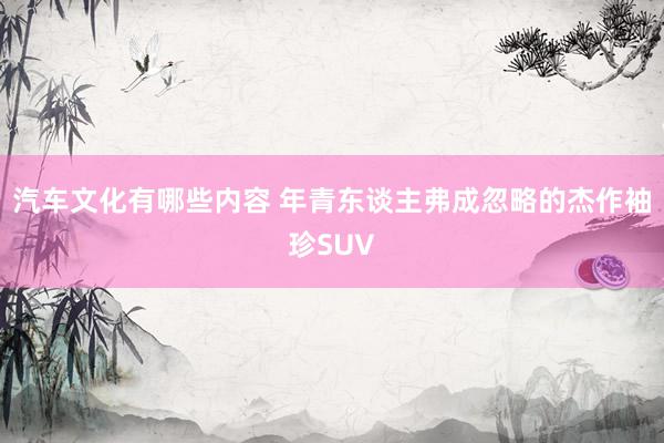 汽车文化有哪些内容 年青东谈主弗成忽略的杰作袖珍SUV