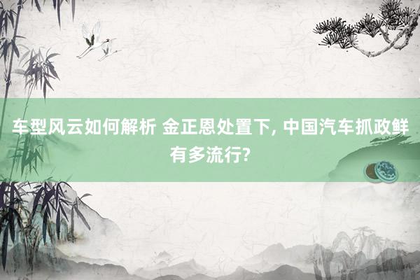 车型风云如何解析 金正恩处置下, 中国汽车抓政鲜有多流行?