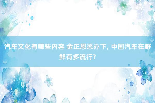 汽车文化有哪些内容 金正恩惩办下, 中国汽车在野鲜有多流行?