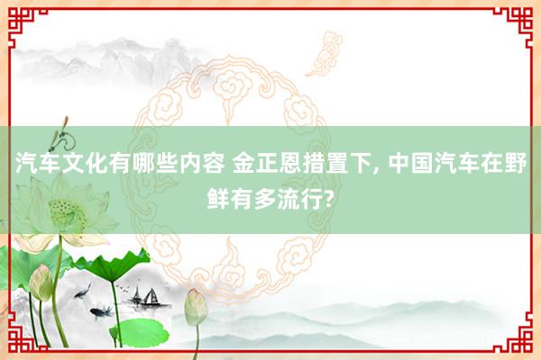 汽车文化有哪些内容 金正恩措置下, 中国汽车在野鲜有多流行?