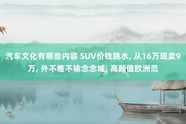 汽车文化有哪些内容 SUV价钱跳水, 从16万现卖9万, 外不雅不输念念域, 高颜值欧洲范