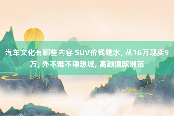 汽车文化有哪些内容 SUV价钱跳水, 从16万现卖9万, 外不雅不输想域, 高颜值欧洲范