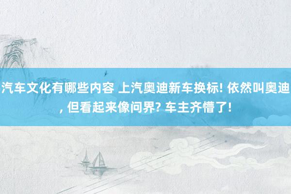 汽车文化有哪些内容 上汽奥迪新车换标! 依然叫奥迪, 但看起来像问界? 车主齐懵了!