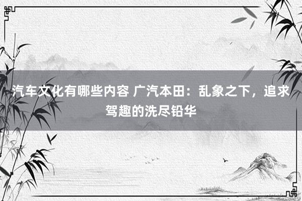 汽车文化有哪些内容 广汽本田：乱象之下，追求驾趣的洗尽铅华