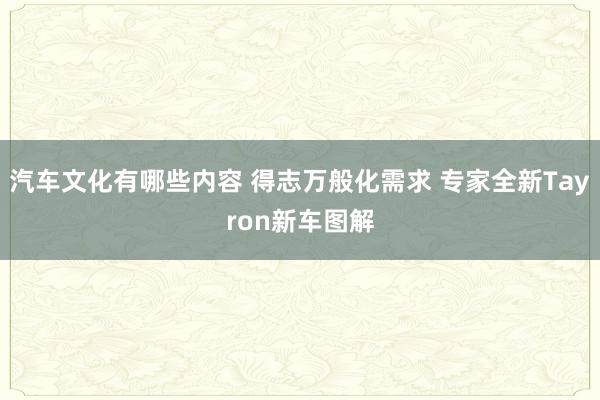 汽车文化有哪些内容 得志万般化需求 专家全新Tayron新车图解