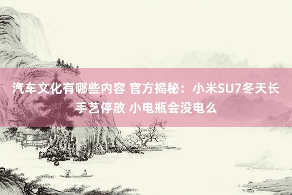 汽车文化有哪些内容 官方揭秘：小米SU7冬天长手艺停放 小电瓶会没电么