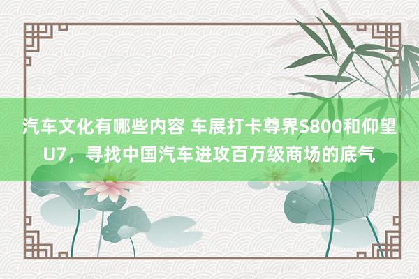 汽车文化有哪些内容 车展打卡尊界S800和仰望U7，寻找中国汽车进攻百万级商场的底气