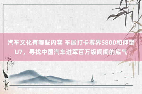 汽车文化有哪些内容 车展打卡尊界S800和仰望U7，寻找中国汽车进军百万级阛阓的底气