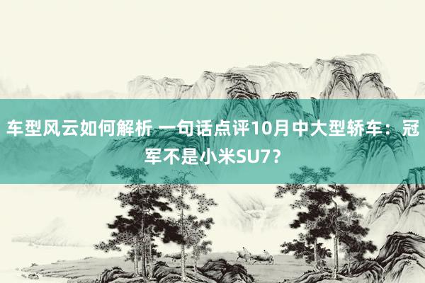 车型风云如何解析 一句话点评10月中大型轿车：冠军不是小米SU7？