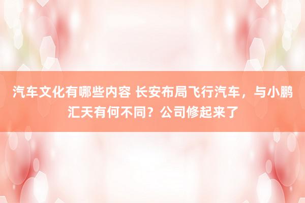 汽车文化有哪些内容 长安布局飞行汽车，与小鹏汇天有何不同？公司修起来了