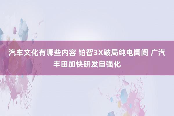 汽车文化有哪些内容 铂智3X破局纯电阛阓 广汽丰田加快研发自强化