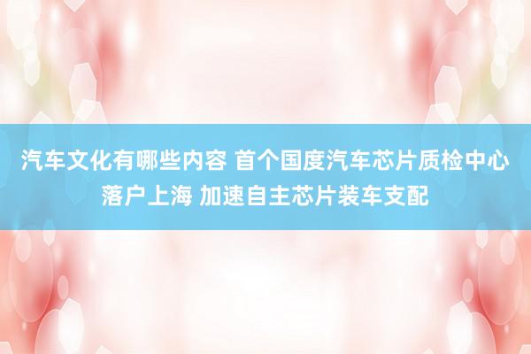 汽车文化有哪些内容 首个国度汽车芯片质检中心落户上海 加速自主芯片装车支配