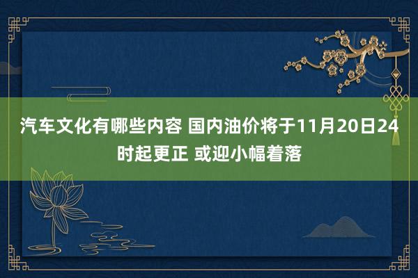 汽车文化有哪些内容 国内油价将于11月20日24时起更正 或迎小幅着落