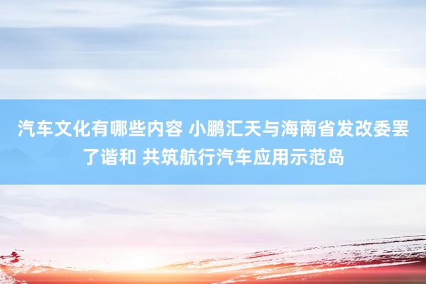 汽车文化有哪些内容 小鹏汇天与海南省发改委罢了谐和 共筑航行汽车应用示范岛