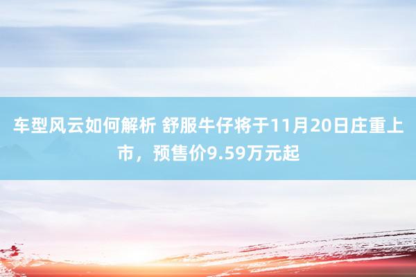 车型风云如何解析 舒服牛仔将于11月20日庄重上市，预售价9.59万元起