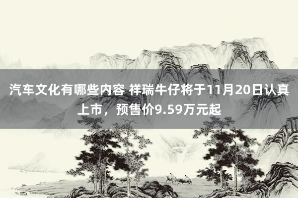 汽车文化有哪些内容 祥瑞牛仔将于11月20日认真上市，预售价9.59万元起