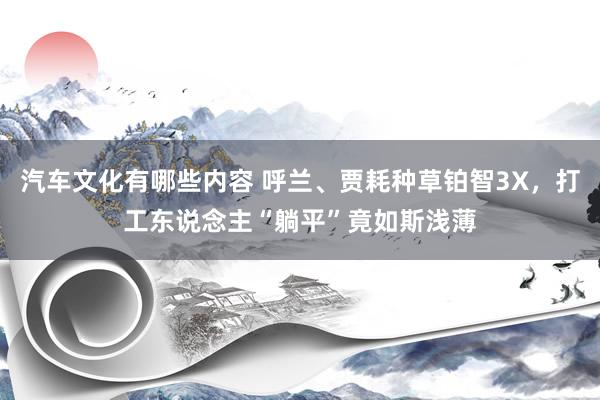 汽车文化有哪些内容 呼兰、贾耗种草铂智3X，打工东说念主“躺平”竟如斯浅薄